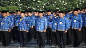 Apa Itu PNS Ini Pengertian, Tugas, dan Status Kepegawaiannya